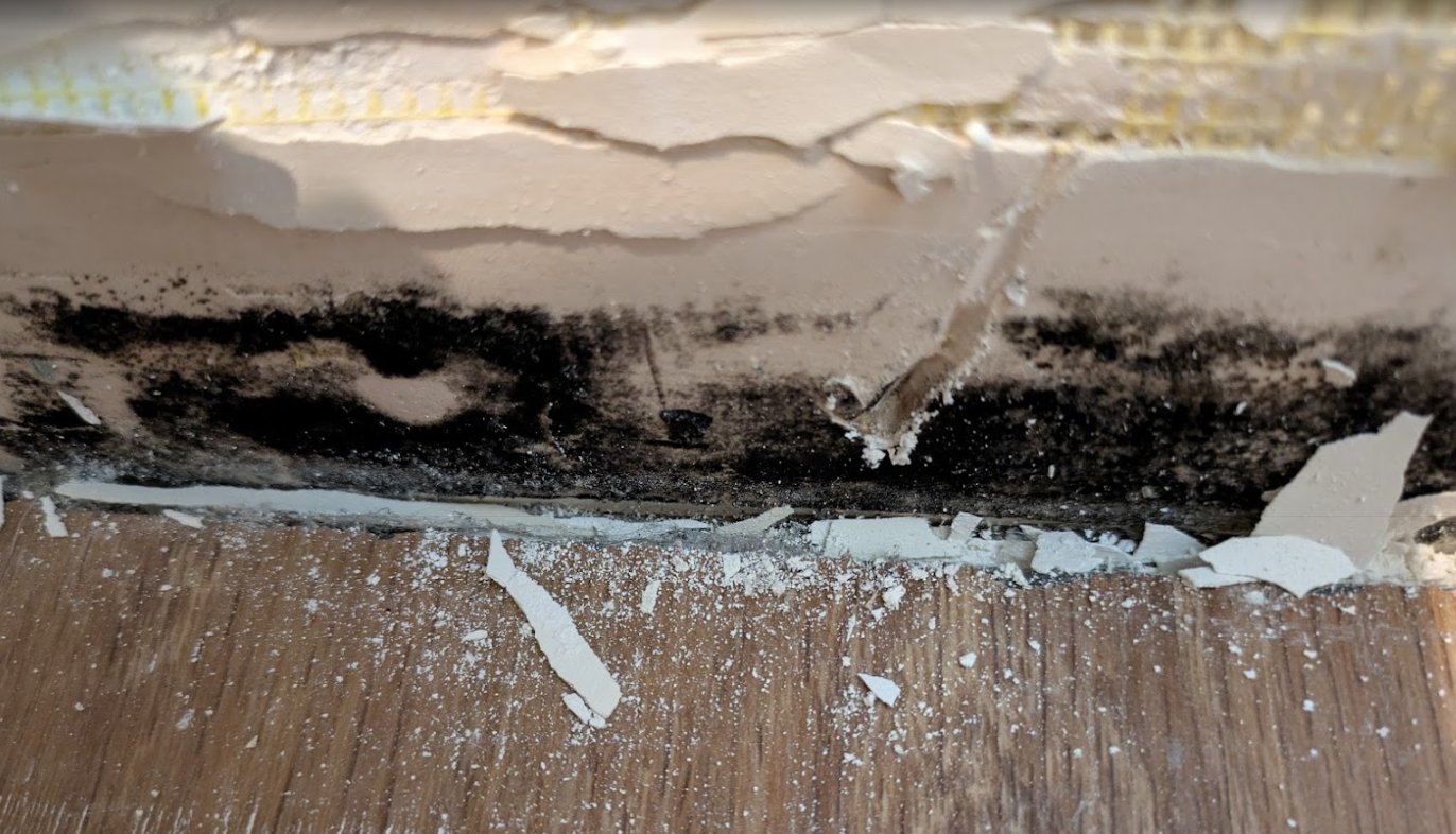 Mold inspection in Granada Hills and San fernando valley home