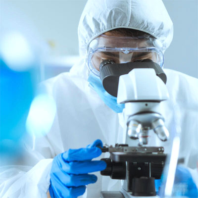 Lab Analysis. Microscopic analysis of mold samples at an AIHA accredited laboratory to determine spore counts and species identification.