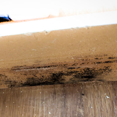 3 common signs of hidden mold in your granada hills, san fernando valley or porter ranch home.