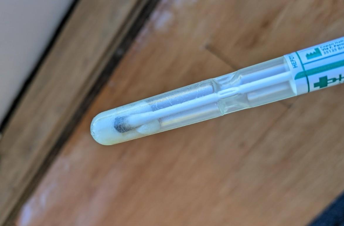 Mold inspection in San Bernandino home.  Surface swab sampling. Environmental testing.