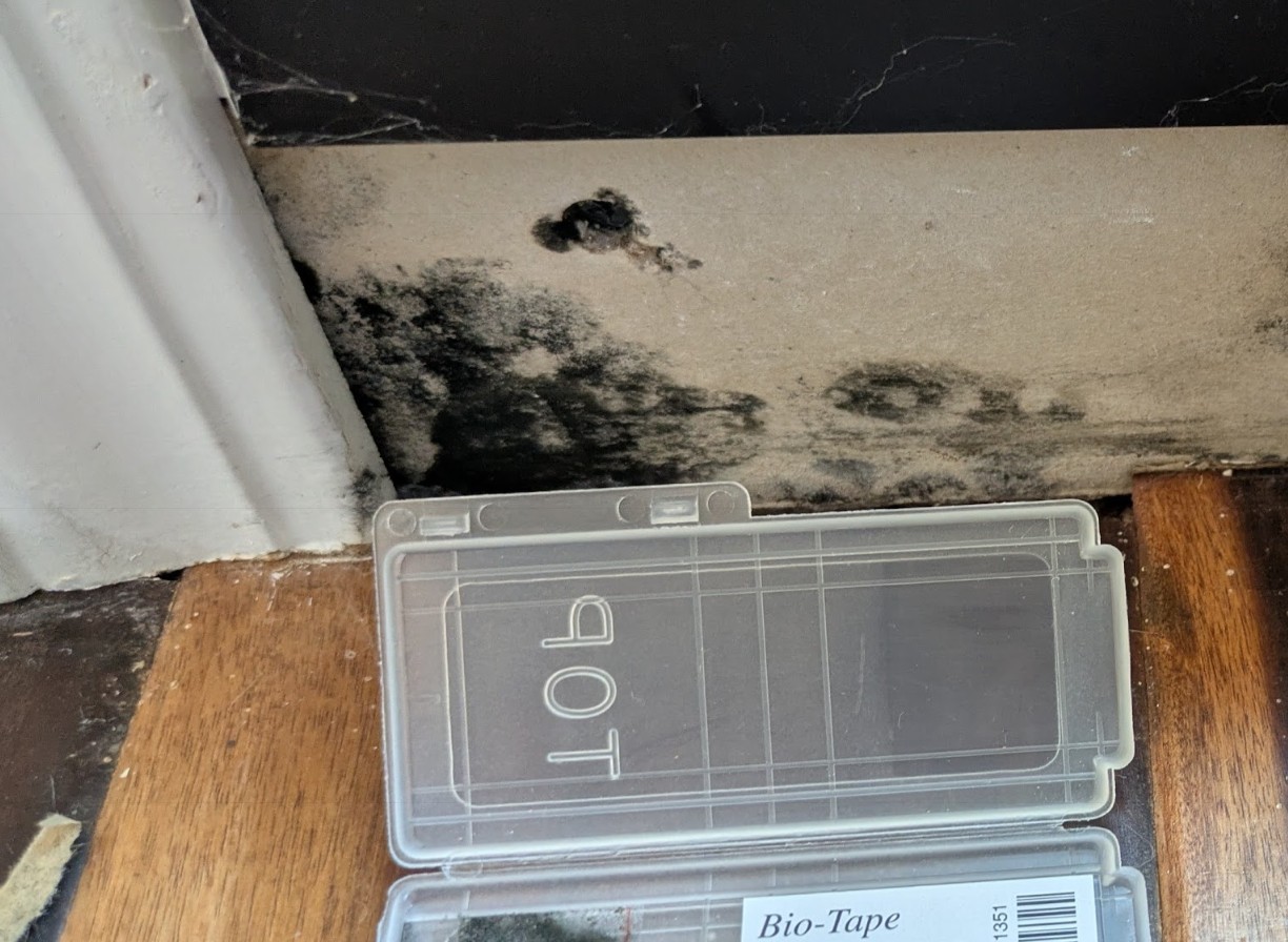 Mold inspection in Thousand Oaks, CA home.  Surface swab sampling. Environmental testing.