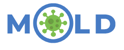 MOLD